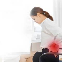 LUMEVIA - Sculpted Back Cushion for Posture and Lumbar Relief