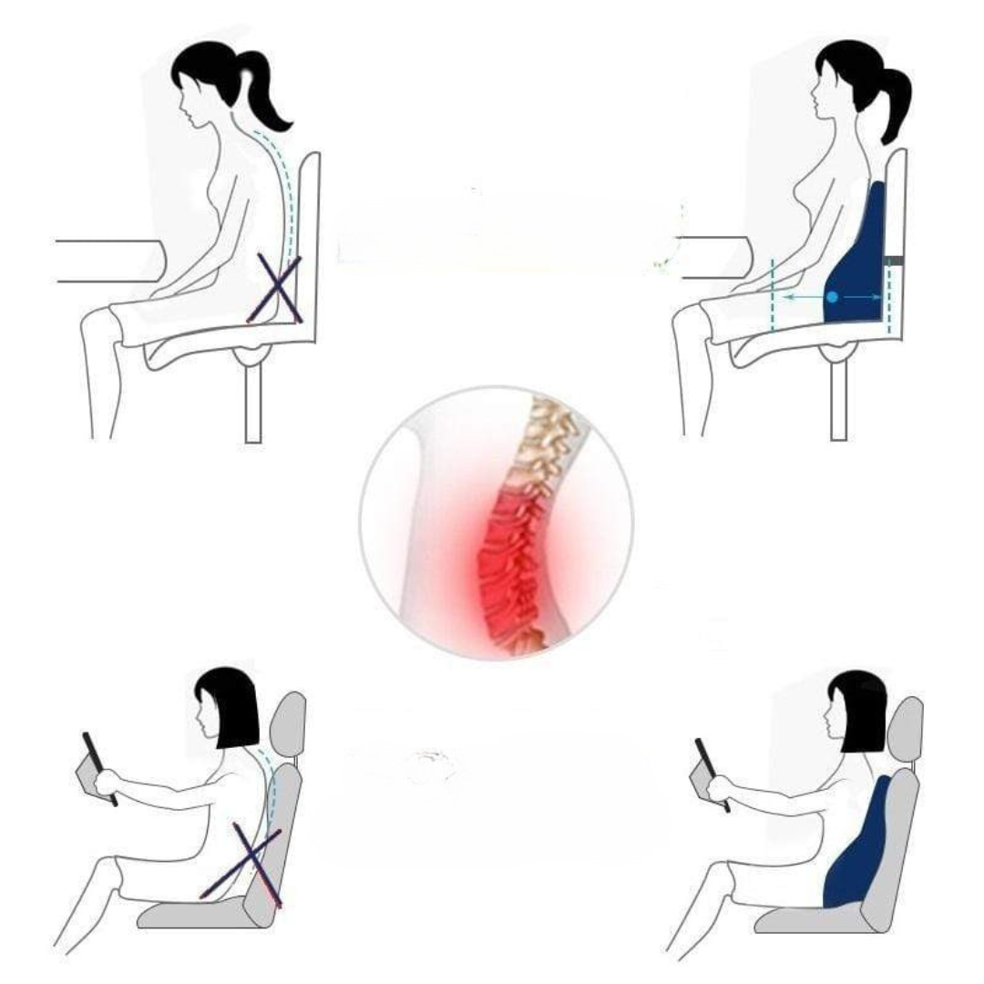 LUMEVIA - Sculpted Back Cushion for Posture and Lumbar Relief