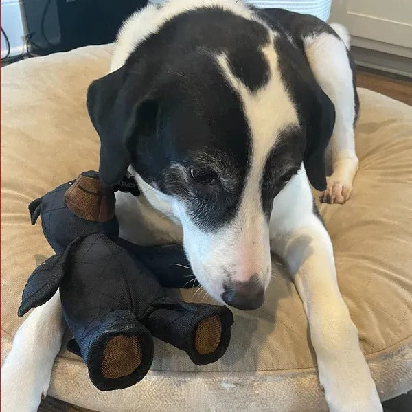 BRUMLIO - Durable Squeaky Bear Toy for Heavy Chewers
