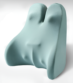 LUMEVIA - Sculpted Back Cushion for Posture and Lumbar Relief