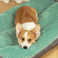 FLAUSCHNEST – Cozy Comfort for Dogs