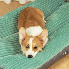 FLAUSCHNEST - Orthopedic Dog Bed for Joint-Supporting Rest