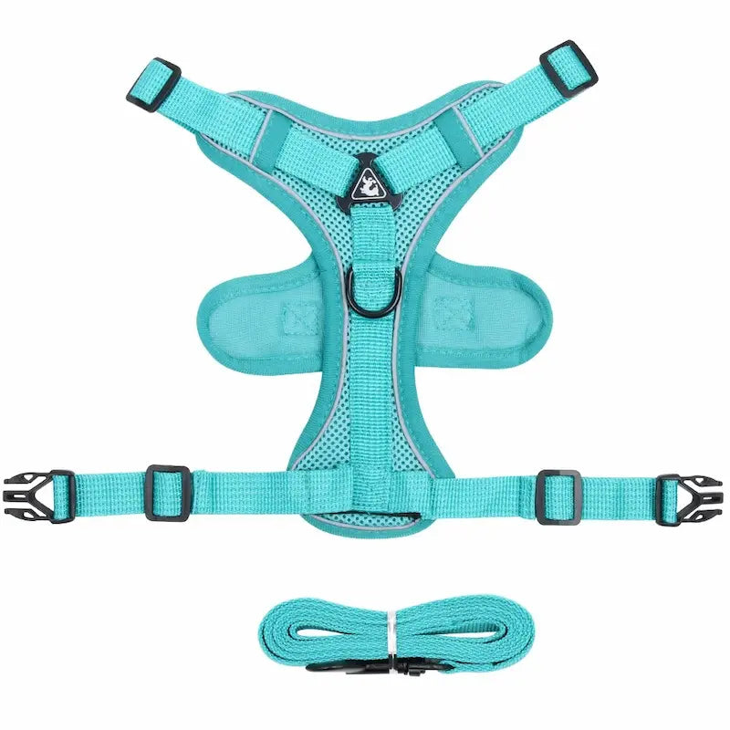 FELNIVO - Escape-Resistant Y-Shaped Cat Harness for Safer Walks